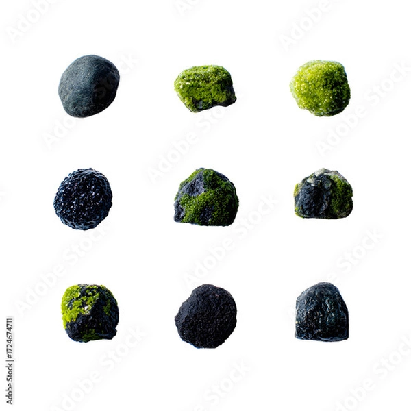 Obraz A grid of nine round, textured stones, some covered in vibrant green moss, presented on a clean white background