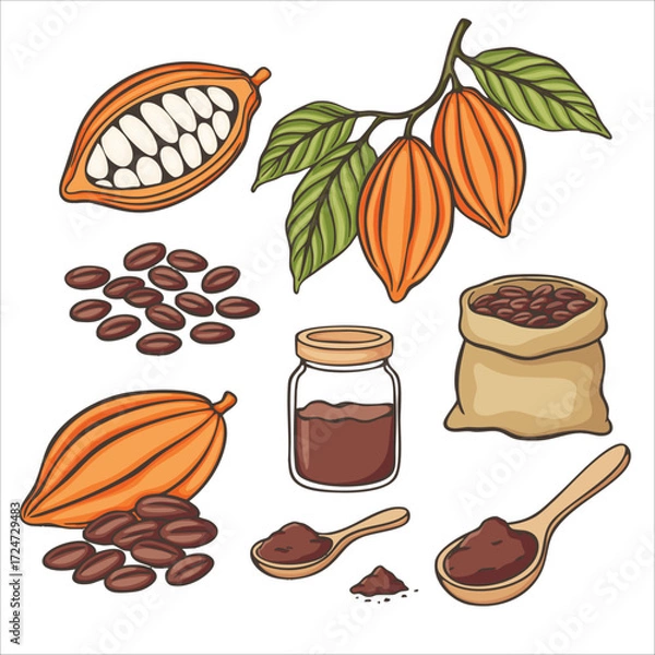 Fototapeta Cartoon illustration set with cocoa fruits and ingredients. Includes cacao pods, beans, branch with leaves, glass jar with cocoa powder. Perfect for food design, packaging, recipes, cafe menus