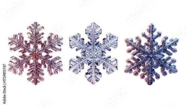 Fototapeta Snowflake Bundle with Three Winter Variations, isolated on transparent background
