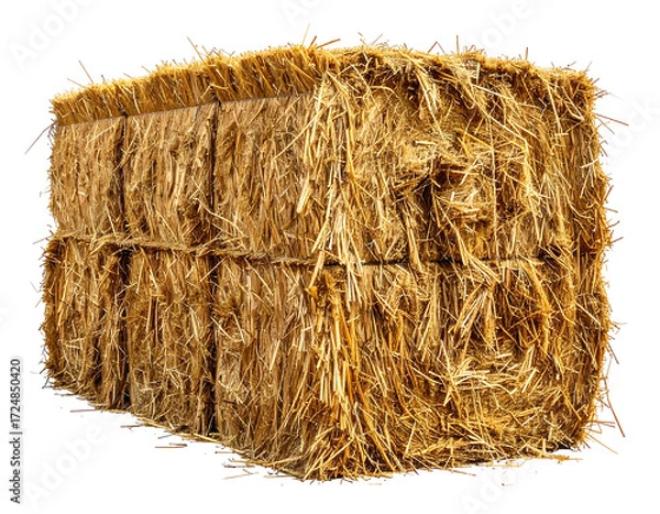 Fototapeta Compressed bale of straw