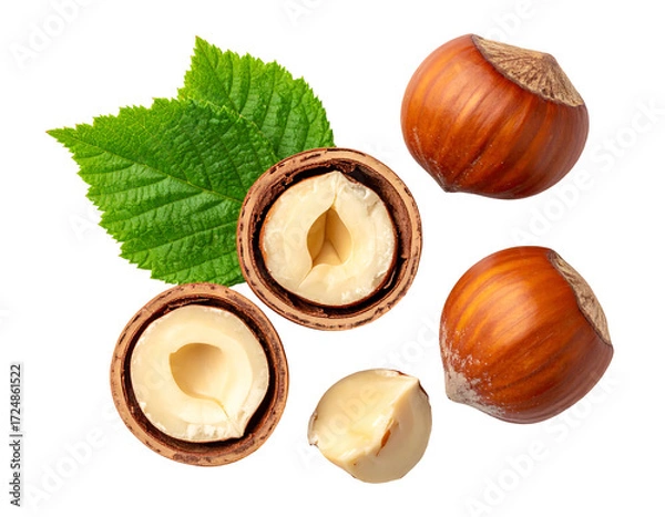 Obraz Hazelnuts, whole and halved, with green leaf