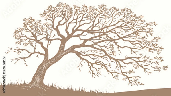 Fototapeta Stylized illustration of a bare, sprawling tree with intricate branches against a white background