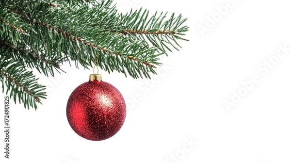 Obraz Red Christmas bauble on fir twig isolated on a transparent background 