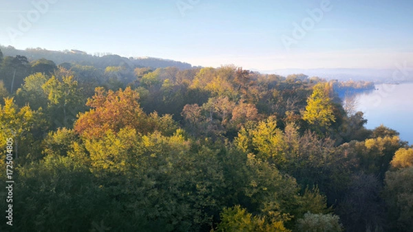 Fototapeta colorful autumn landscape around Danube river in Novi Sad