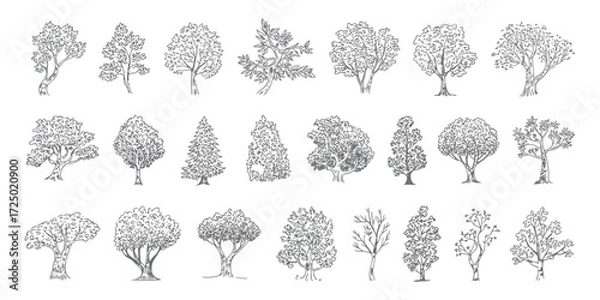 Fototapeta Minimal CAD Tree Line Drawing Set – Side View Tropical Trees Outline for Architecture and Landscape Design – Vector Stroke Illustration on White Background