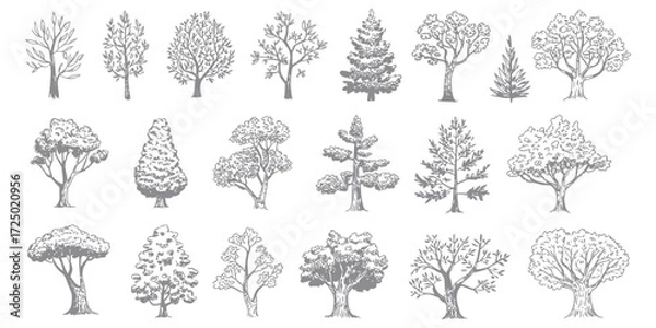 Fototapeta Minimal CAD Tree Line Drawing Set – Side View Tropical Trees Outline for Architecture and Landscape Design – Vector Stroke Illustration on White Background