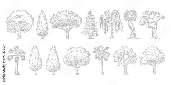 Fototapeta Minimal CAD Tree Line Drawing Set – Side View Tropical and Oak Trees – Vector Outline Symbols for Architecture and Landscape Design – Stroke Illustration on White Background