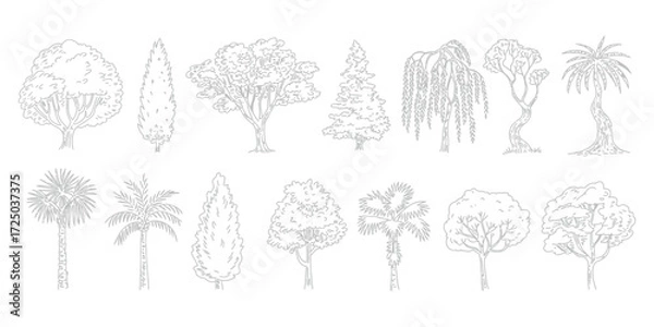 Fototapeta Minimal CAD Tree Line Drawing Set – Side View Tropical and Oak Trees – Vector Outline Symbols for Architecture and Landscape Design – Stroke Illustration on White Background