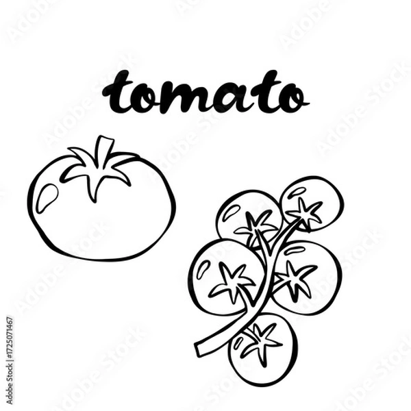 Fototapeta et of fresh uncooked tomatos. Good for textile, surface design, wallpapers, kitchen vibes, vegetarian posters, menu and recipes