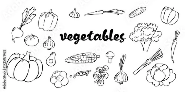 Fototapeta Set of fresh uncooked vegetables. Good for textile, surface design, wallpapers, kitchen vibes, vegetarian posters, menu and recipes