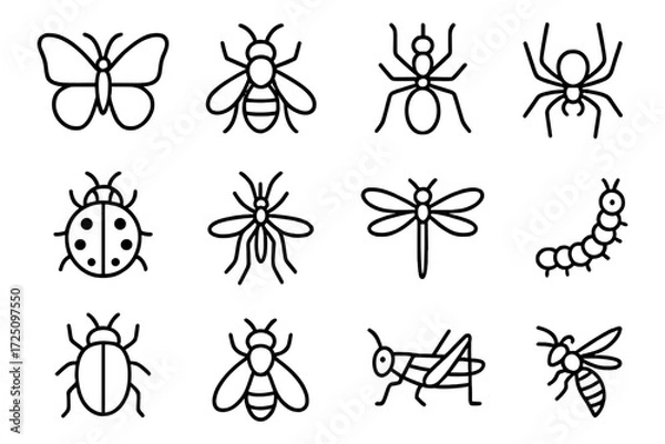 Fototapeta Minimalist outline collection of insects and bugs