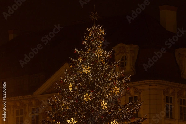 Fototapeta Christmas tree illuminated with lights at night, showing glowing decorations and festive atmosphere in a dark seasonal setting. Lifestyle