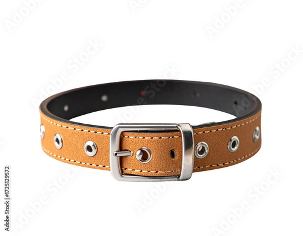 Obraz  Rustic Tan Leather Cat Collar with Silver Eyelets and Festive Holiday Touch