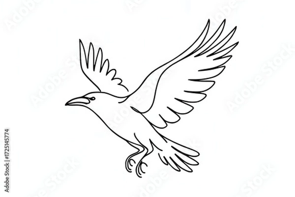 Obraz Minimal Flying Raven Line Art Logo