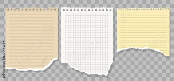 Fototapeta Set of torn paper sheets for text, notes, sticky sheets. Office notepads and information boards concept. Template for note message on notebook page, torn paper piece. Vector square lined paper