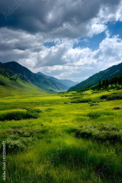 Fototapeta Lush green meadow under dramatic cloudy sky.