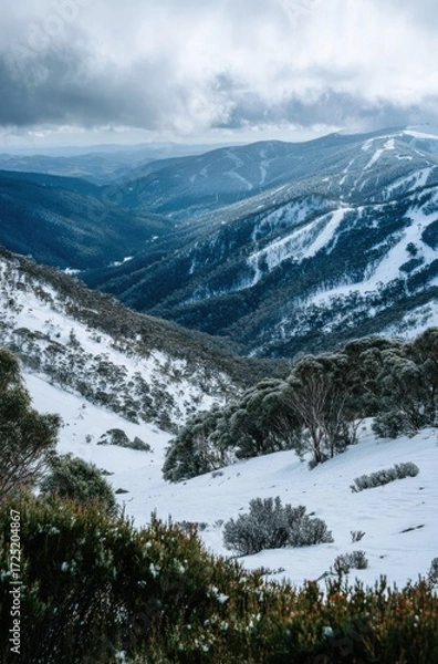 Fototapeta WINTER SEASON
