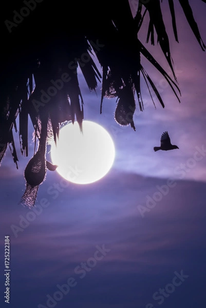 Obraz Beautiful Bird and Beautiful Life