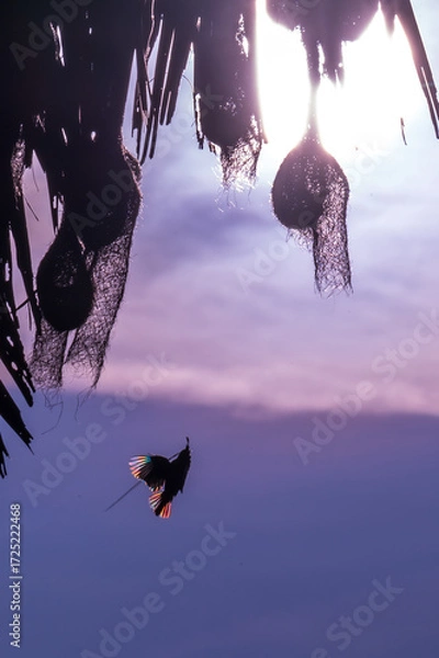 Obraz Beautiful Bird and Beautiful Life