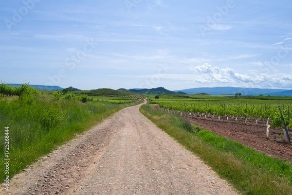 Fototapeta 길거리 경관 네이처 들판 구름