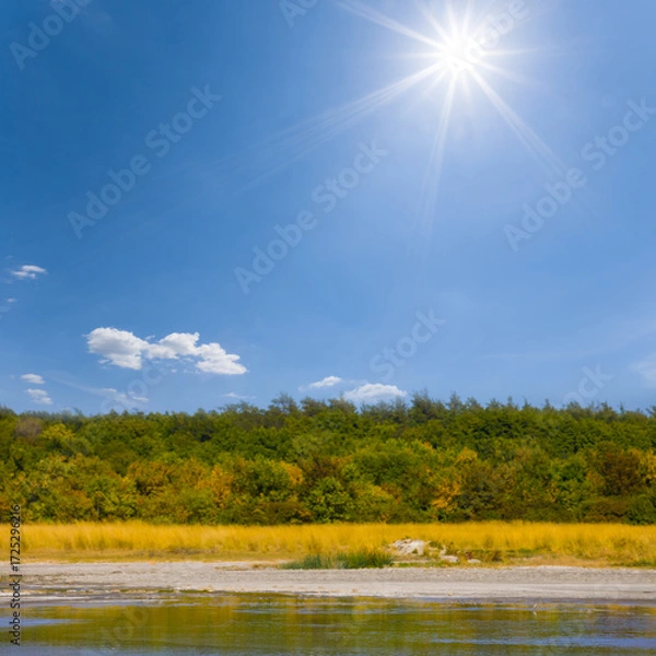 Fototapeta small calm lake with forest on the coast under a sparkle sun