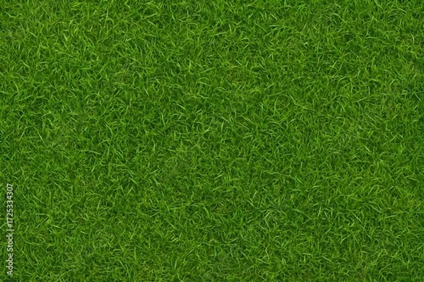 Fototapeta seamless grass texture natural green background
