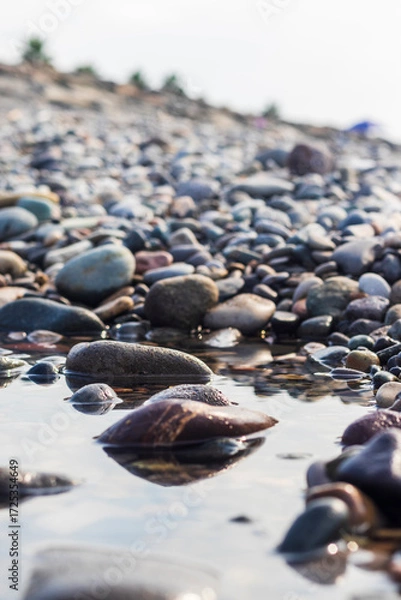 Fototapeta Close up shot of the pebbles of the beach. Background