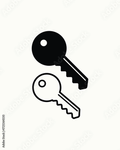 Obraz key isolated on white background
