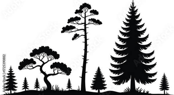Obraz Tree silhouette vector collection forest evergreen pine cedar