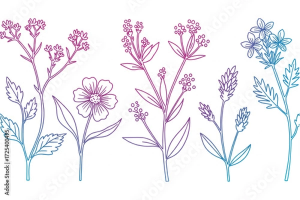Fototapeta Elegant floral line art with vibrant gradient colors, perfect for invitations, stationery, or a modern design accent with a fresh, organic feel