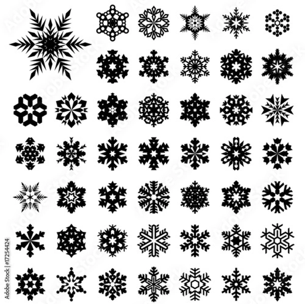Obraz snowflakes