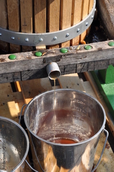 Obraz Frischer Apfelsaft