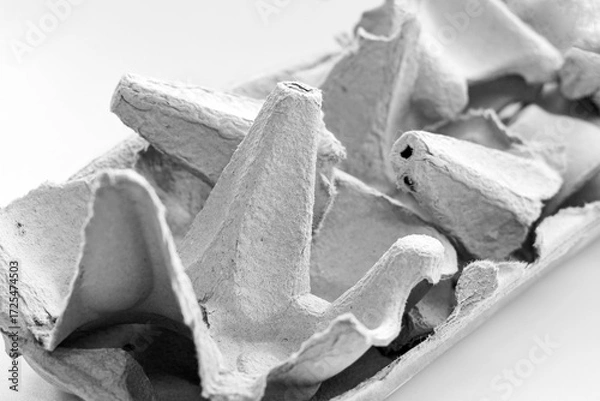 Fototapeta Egg carton on the table. How to reuse egg cartons concept.