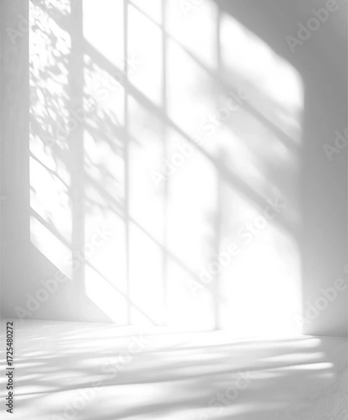 Fototapeta Realistic Window Shadow on Transparent Background	