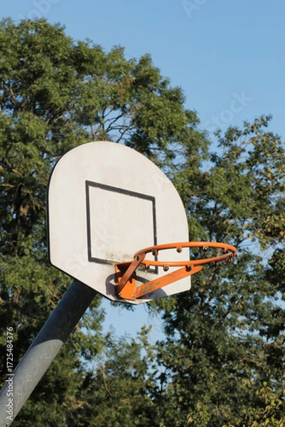 Fototapeta Outdoor basketball hoop with backboard and rim, standing against green trees in nature background, summer sports and recreation concept. Vertical portrait photo.