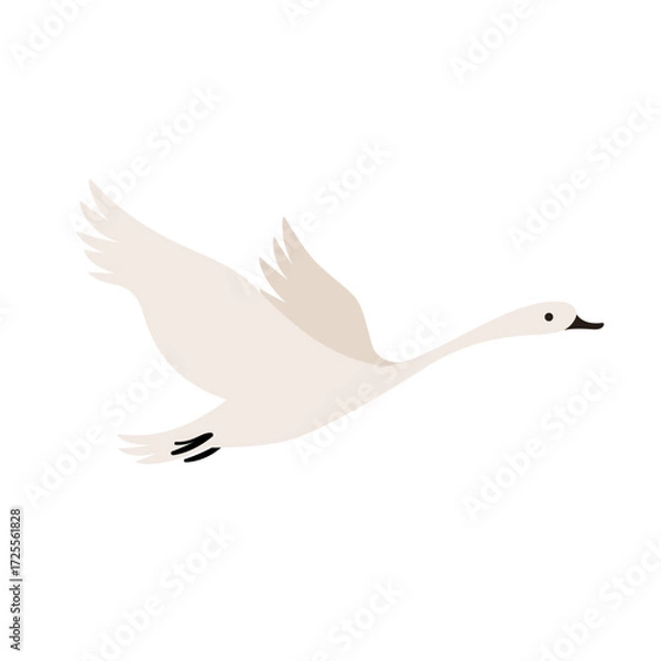 Fototapeta Cute swan in sky. Contour vector illustration in flat style isolated on white background.