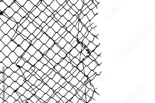 Fototapeta The texture of the metal mesh on a white background. Torn steel, metal mesh with holes