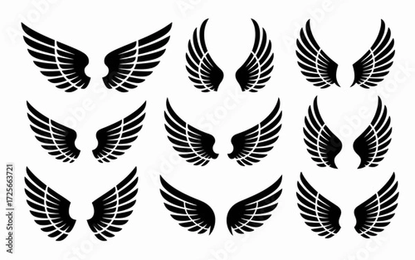 Obraz wings