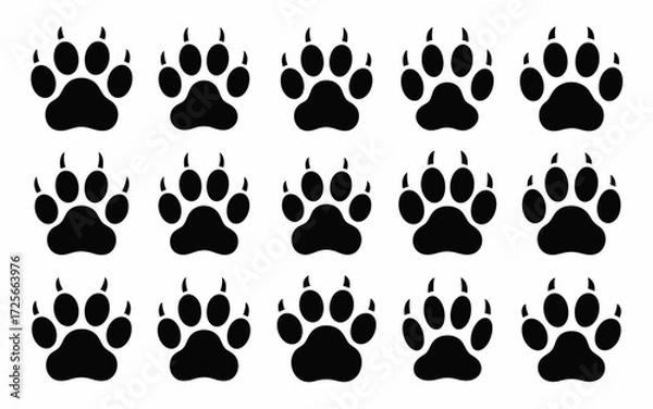 Obraz paw prints vector