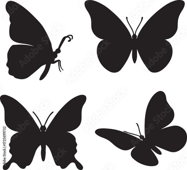 Fototapeta big butterfly silhouette icons set side, front, back, and top views vector art illustration