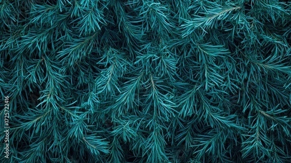 Fototapeta Pine branches in deep teal, forming textured wilderness surface with rich, natural coloration