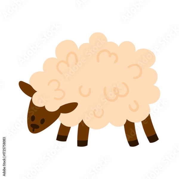 Fototapeta Fluffy sheep with curly wool and head lowered as if grazing. Simple flat style, isolated on white. Great for farm, livestock, and nursery projects