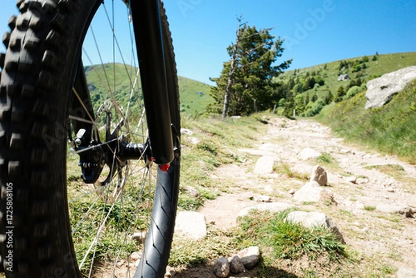 Fototapeta Mountainbiking in den Bergen. Reifen und Felge eines Mountainbikes auf einem holprigen Weg.