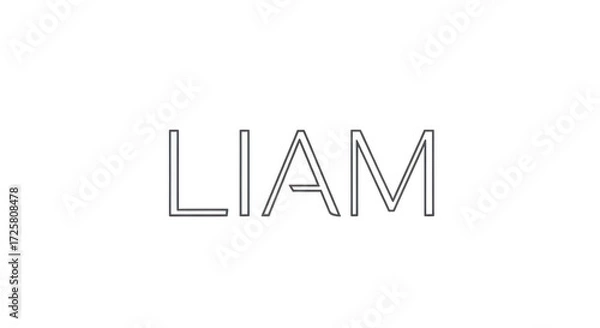 Fototapeta Elegant Minimalist Text Design Featuring the Name Liam With a Transparent Background