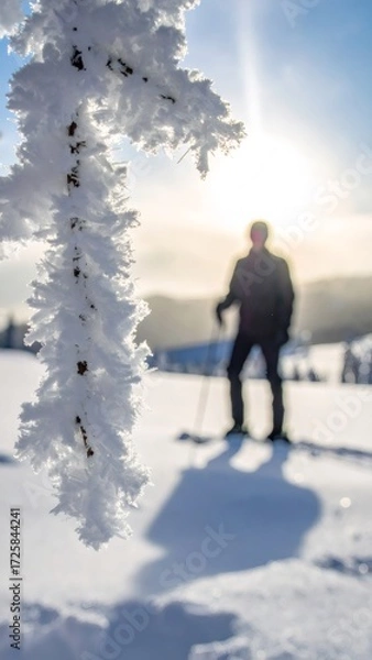 Fototapeta Frosted branch with person snowshoeing on sunny winter day