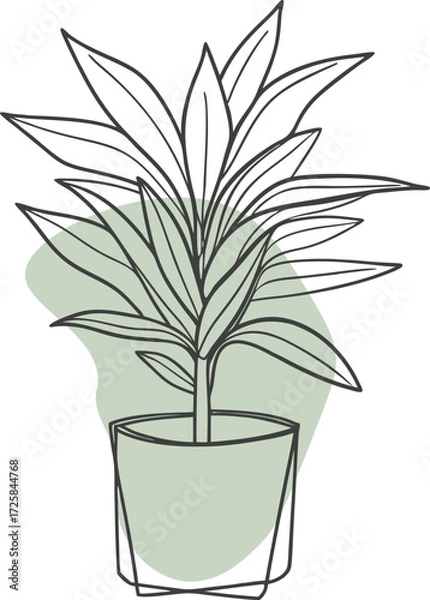 Fototapeta Potted plant line drawing abstract background line art