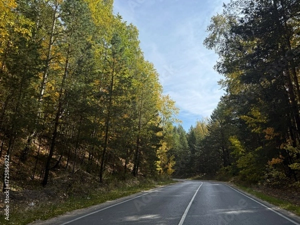 Fototapeta Landscape with an empty asphalt road through the forest in autumn. Travel. Trip