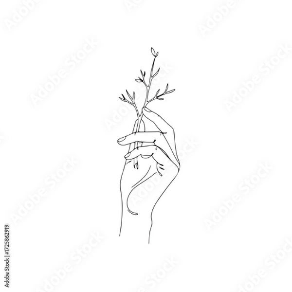 Obraz Hand Holding Branch Minimal Line Drawing