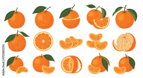 Fototapeta A collection of various mandarin orange fruits and slices.