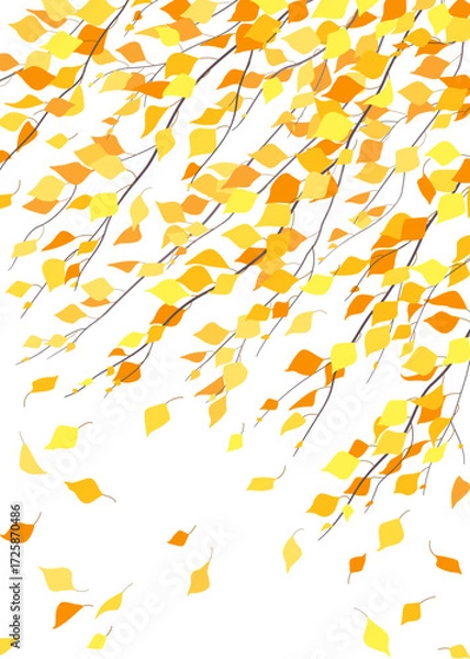 Obraz Autumn Background with Birch Branches in Wind.